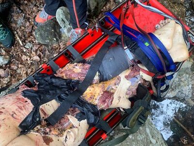 Woman killed by bear in Romania