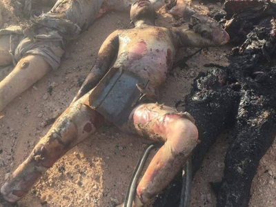 4 pigs isis killed in western Iraq