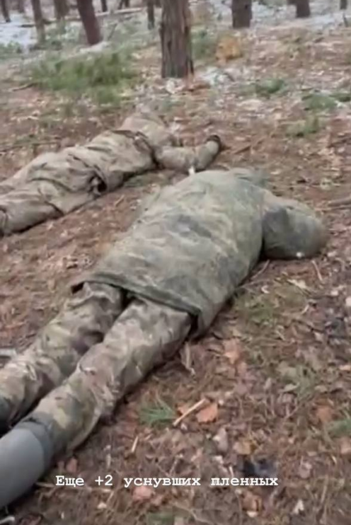 Challenge: take a photo with a dead Russian POW.