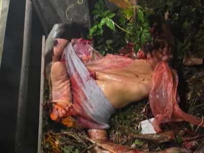 AFTERMATH : PEDESTRIAN HIT BY A SPEEDING CAR