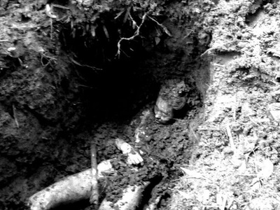 Indonesian woman killed and buried in shallow grave 