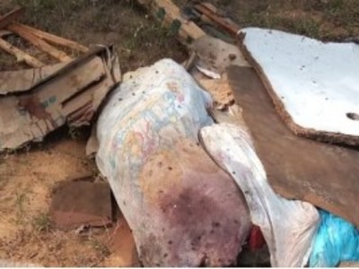 The police locate the dismembered body in CabrobÃ³, Brazil