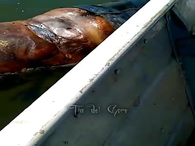 Body of a man found in the water - La Tia del Gore 