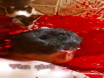 fucking cat eating corpse massacre at home - La Tia Del Gore 