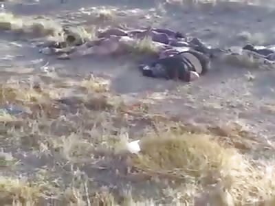They find the bodies of 4 executed in Sonora