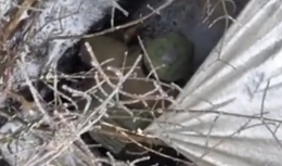 Grenade is dropped on a trench containing a RU soldier