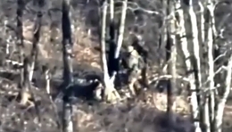 Drone targets 3 Russian soldiers in the woods
