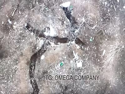 Omega Company storms a Russian trench, overhead view