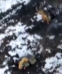 Drone drops its grenade on two RU troops in Ukraine