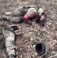 Corpses Russians scattered throughout the Donetsk region