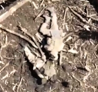 UA drone drops a grenade and two soldiers collapse