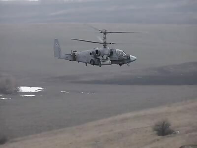 Ka-52 In Action