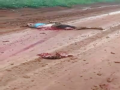 A gore mess on the brazil road