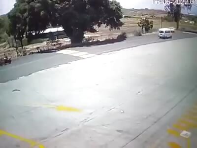 Driver takes flight