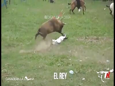 Colombian bull fucking the lost souls