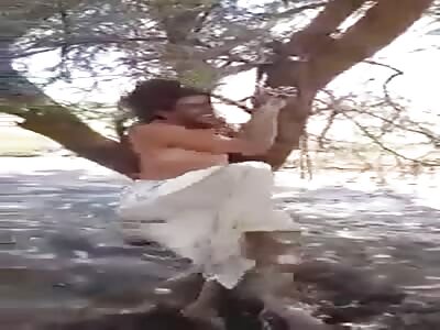 Thief whipped into a tree