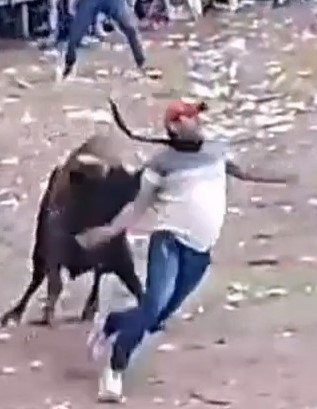 El maricon, has his arm pierced by bull