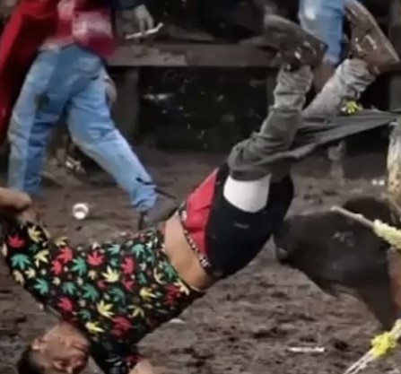 BRUTAL: Bull Singles out Man with Weed Shirt.