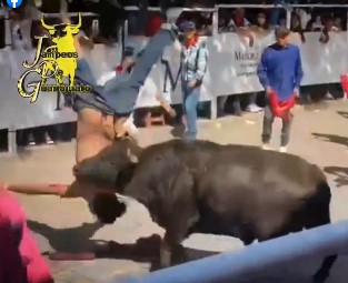 A motherfucker getting fucked by a mexican bull