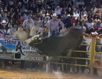 Mexican bull destroyed a thrown man