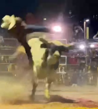Bad day for Mexican bullfighters