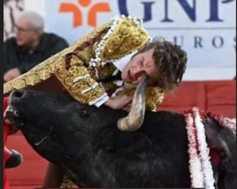 Spanish matador fucked by bull