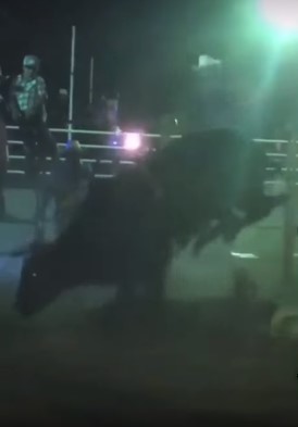 Go to hell motherfucker, bullfighter trampled to death
