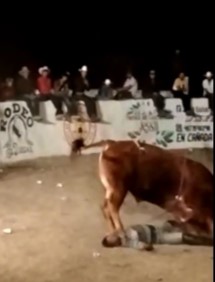 Bullfighter thrown and stomped in the face
