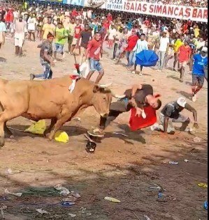 Bull raping a victim of colombia