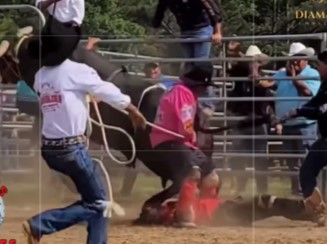 Bullfighter cruelly trampled by beast
