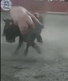 warning, do not play with bulls in festival in PERU 