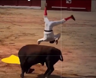 seriously injured bullfighter
