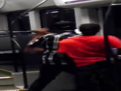 White dude on the train Pulls out Katana To stop a Fight