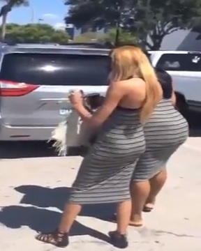 Ridiculous Fight at Walmart Parking Lot gets Quite Nasty 