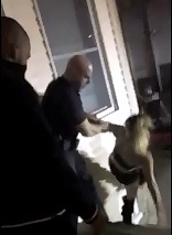 Police Toss a Stripper All over the Front Lawn in Front of her Kids