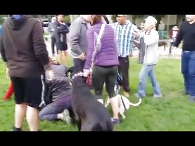 Asshole Kicks a Dog after Scuffle in SF Park 