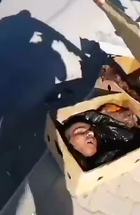 Bomber in a Box..Suicide Bomber is Shown Off Proudly by Soldier 