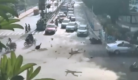 Absolutely Brutal Accident shows People Killed Instantly 