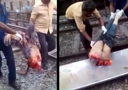 Crazy Gore:  Man Ripped in Half by Train 