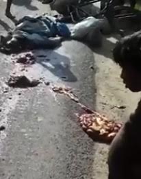Body crushed and insides exposed on the road