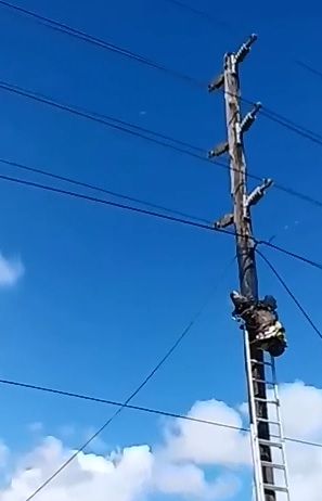 Yet Another Man Loses his Life trying to Steal Copper from  Electric Pole 