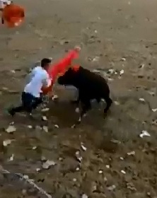 We Can All Learn a Lesson Here from this Video:  Do NOT stand in Front of a Bull (Includes Aftermath 