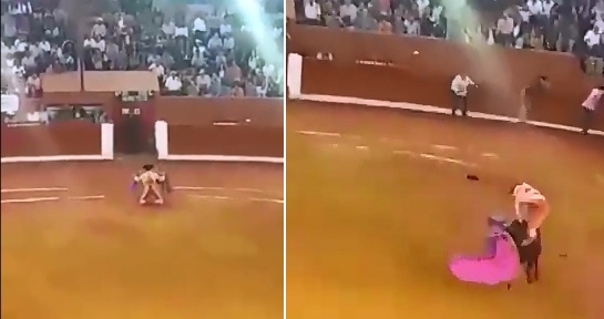 Matador waits for Bull right outside the Cage and Pays the Price getting Steamrolled BAD 
