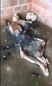 Skeleton Corpse found inside Dark Concrete Cell was Electrocuted to Death ...
