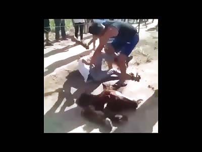 Thugs are Beaten with a Horse leg after Dismembering the Horse 