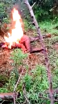 Barbaric People still Living Strong in the World...Man Burning to Death in Utter Agony 
