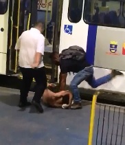 Drunk Idiot gets Whats Coming to Him...Thrown Under the Bus.Literally