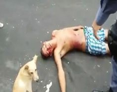 Dog Sits by Agonizing Man Shot in the Back