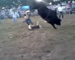 Bull rider dies after being trampled in the ches