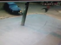 Rider Flies after Collision, Hits Wall and Dies